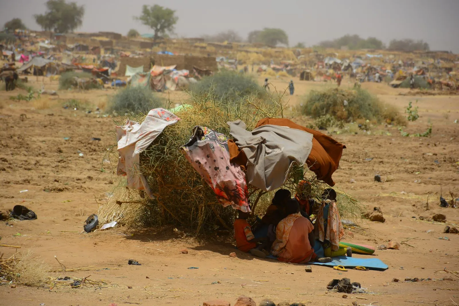 Internally displaced people taking refuge under a tree in Sudan.