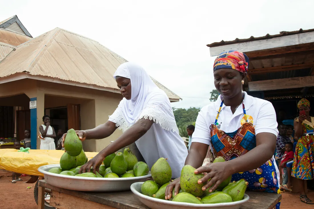 Two women are sorting fruit on a table.